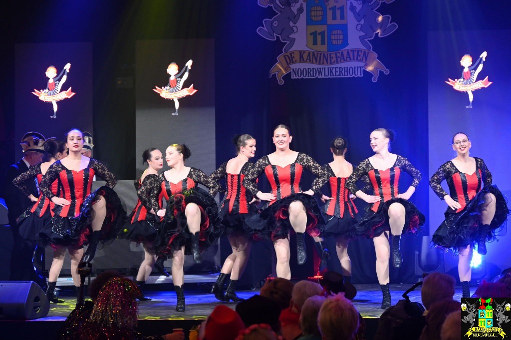 ../Images/Seniorencarnaval 2026 063.jpg